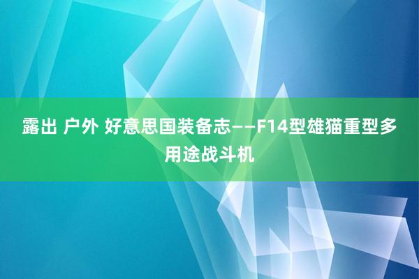 露出 户外 好意思国装备志——F14型雄猫重型多用途战斗机