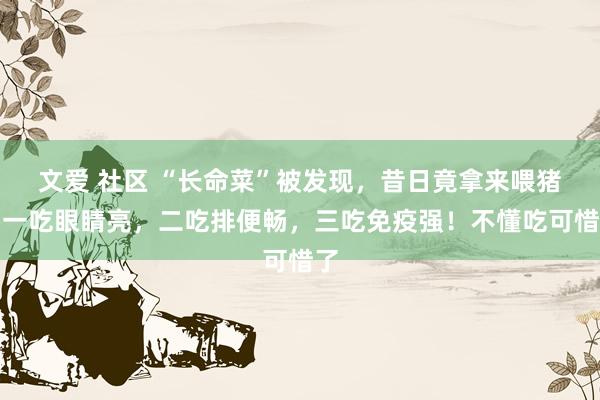 文爱 社区 “长命菜”被发现，昔日竟拿来喂猪，一吃眼睛亮，二吃排便畅，三吃免疫强！不懂吃可惜了