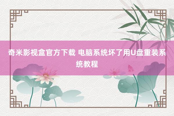 奇米影视盒官方下载 电脑系统坏了用U盘重装系统教程