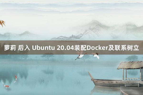 萝莉 后入 Ubuntu 20.04装配Docker及联系树立