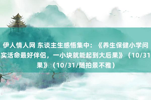 伊人情人网 东谈主生感悟集中：《养生保健小学问：黑巧克力确实活命最好伴侣，一小块就能起到大后果》（10/31/随拍景不雅）